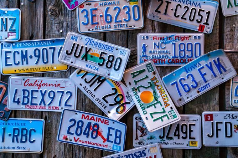 Colorful assortment of novelty license plates displayed on a rustic wooden wall.