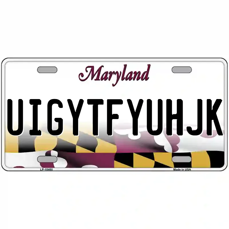 Maryland Blank Metal Novelty License Plate