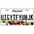 Maryland Blank Metal Novelty License Plate