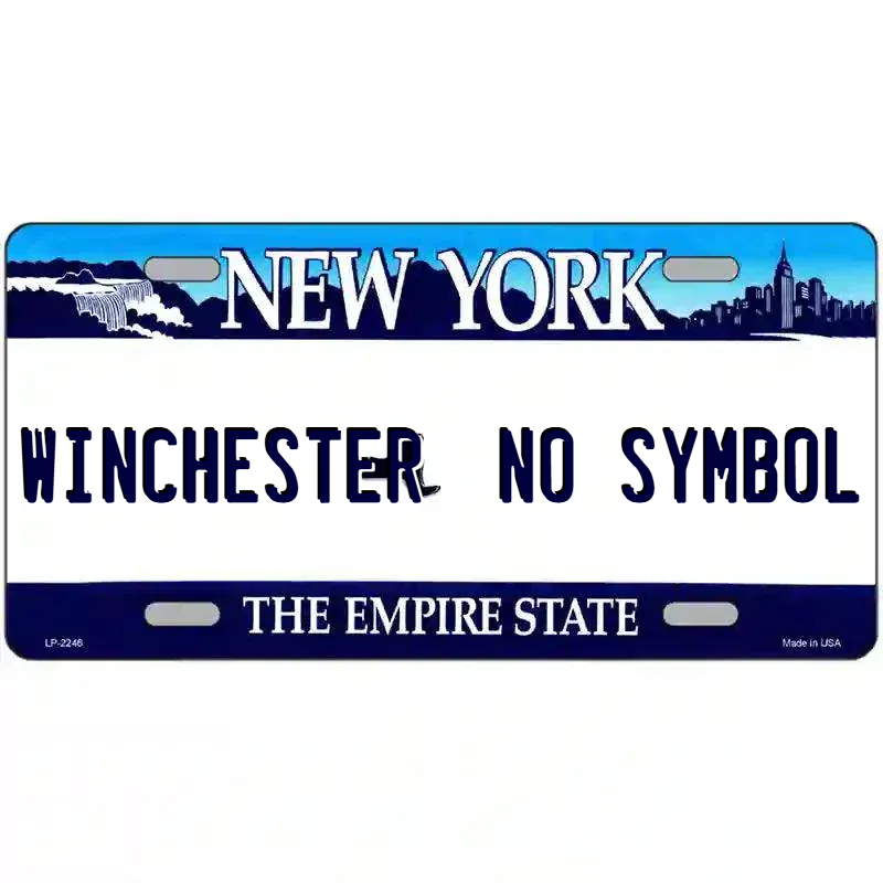 New York State Novelty State Blank Metal License Plate