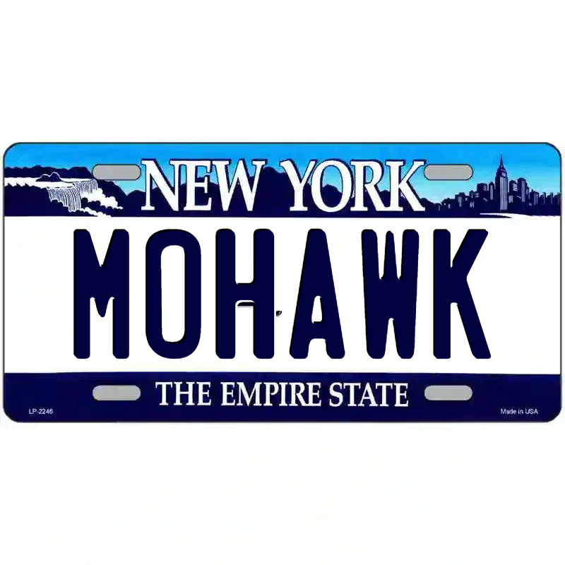 New York State Novelty State Blank Metal License Plate