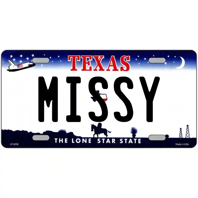Texas Novelty State Blank Metal License Plate