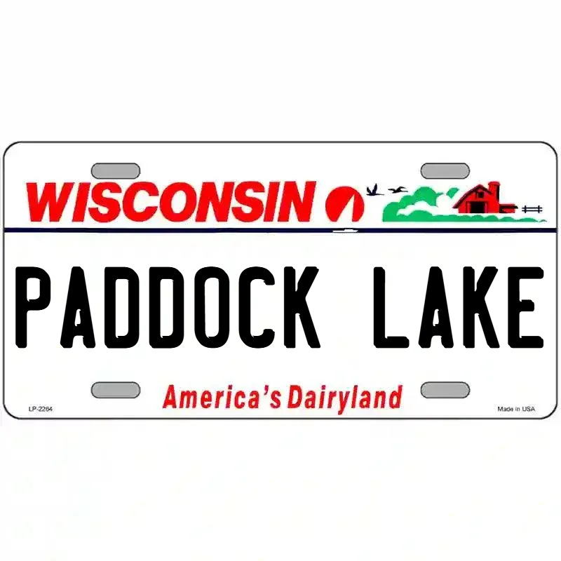 Wisconsin Novelty State Blank Metal License Plate