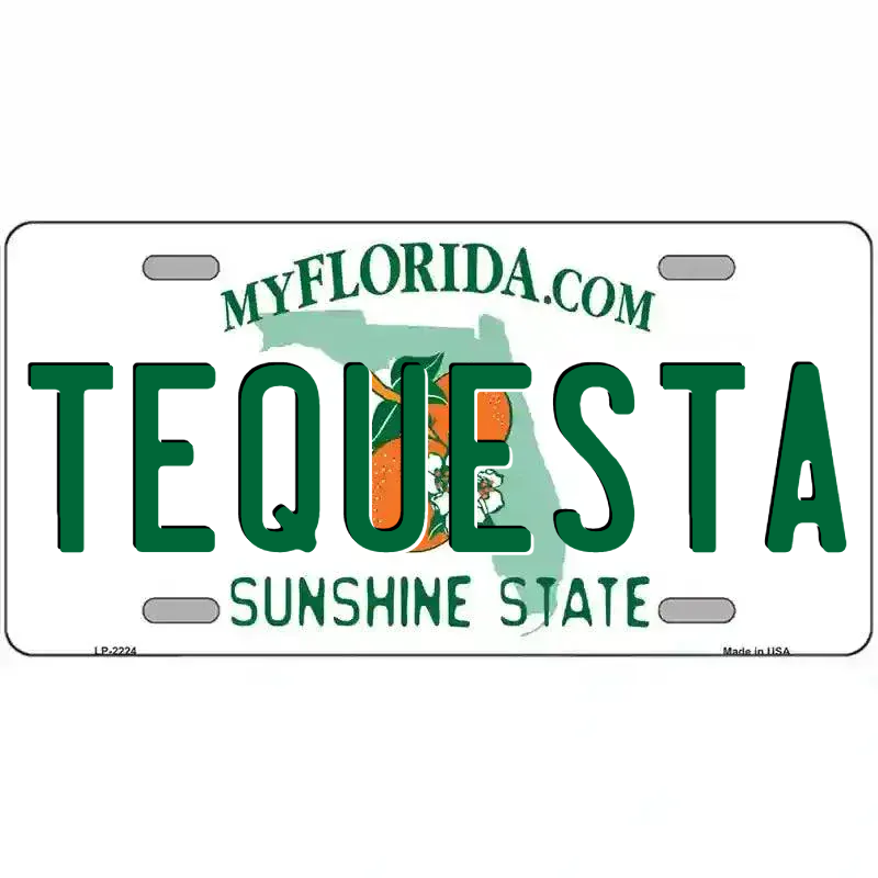 Florida State Blank Novelty Metal License Plate