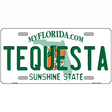 Florida State Blank Novelty Metal License Plate