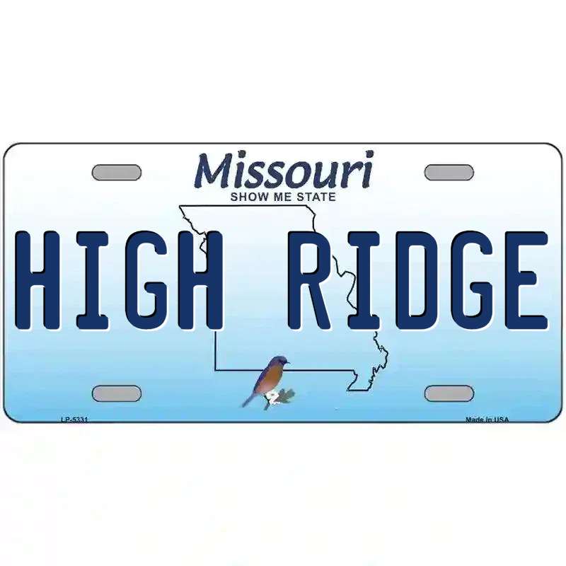 Missouri Blue Blank Novelty Metal License Plate