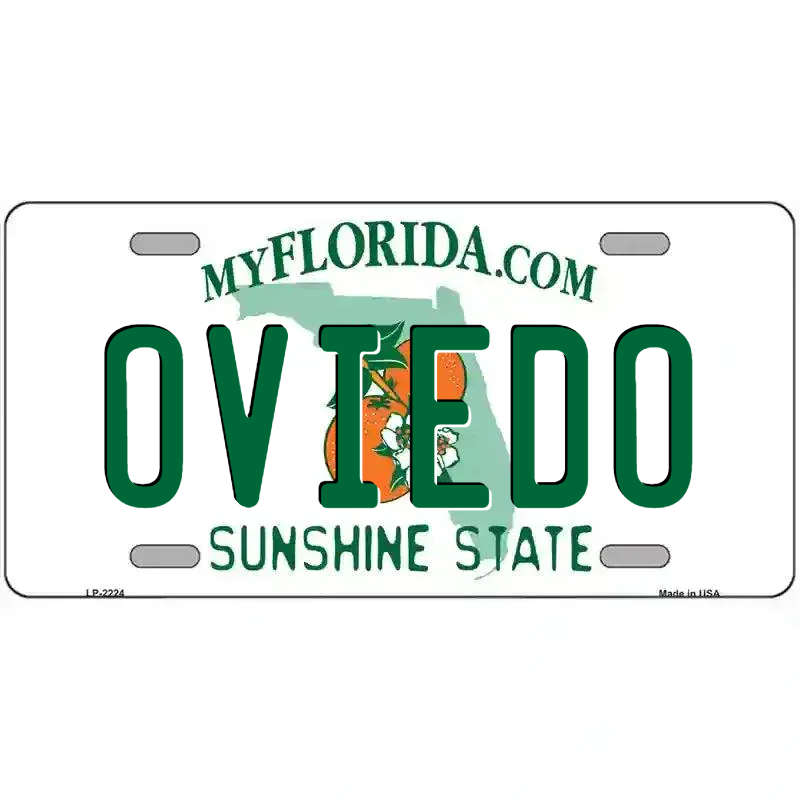 Florida State Blank Novelty Metal License Plate