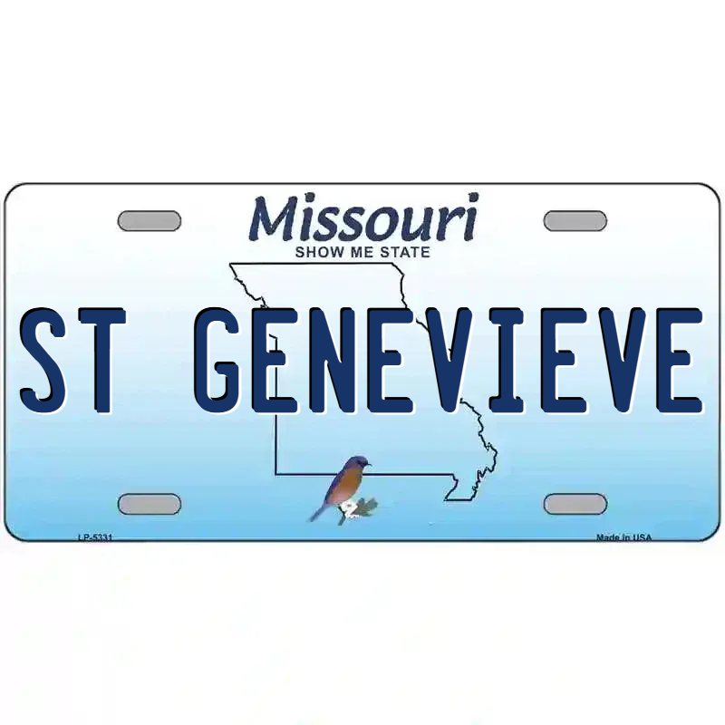Missouri Blue Blank Novelty Metal License Plate