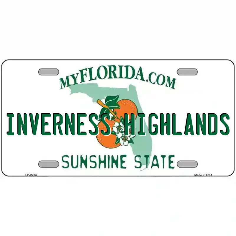 Florida State Blank Novelty Metal License Plate