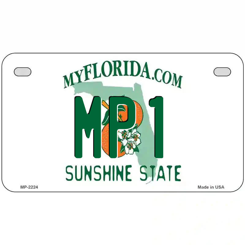 Florida State Blank Novelty Metal License Plate