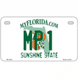Florida State Blank Novelty Metal License Plate
