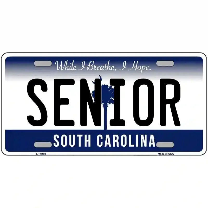 South Carolina Dark Blue Blank Novelty Metal License Plate