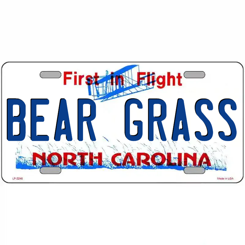 North Carolina Novelty State Blank Metal License Plate