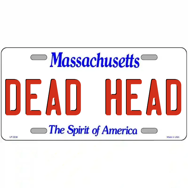 Massachusetts Novelty State Blank Metal License Plate