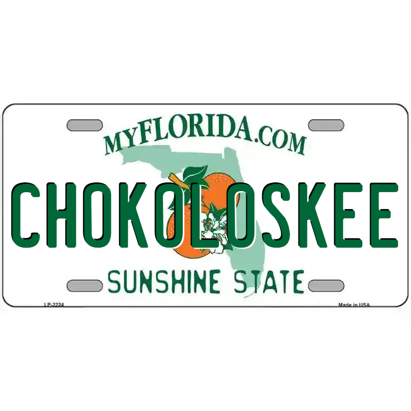 Florida State Blank Novelty Metal License Plate