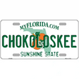 Florida State Blank Novelty Metal License Plate