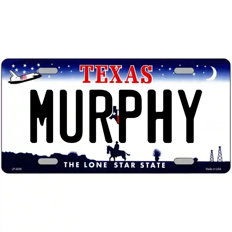 Texas Novelty State Blank Metal License Plate
