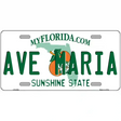 Florida State Blank Novelty Metal License Plate