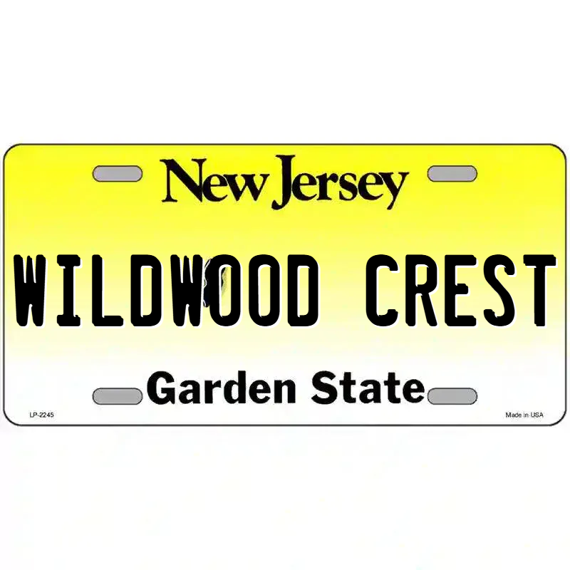 New Jersey Novelty State Blank Metal License Plate