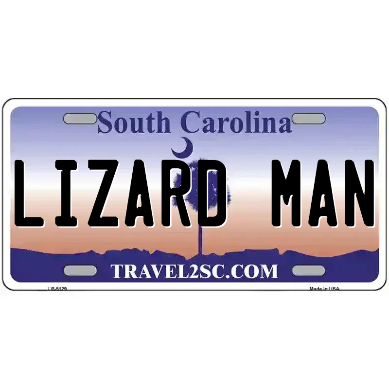 South Carolina Purple Blank Novelty Metal License Plate