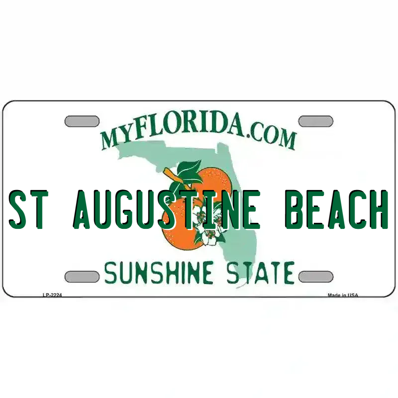 Florida State Blank Novelty Metal License Plate