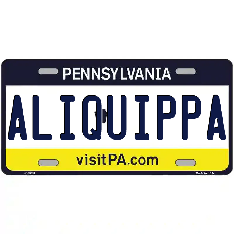 Pennsylvania Novelty State Blank Metal License Plate