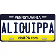Pennsylvania Novelty State Blank Metal License Plate