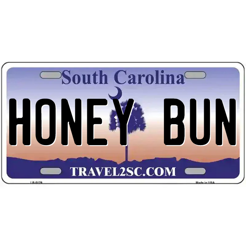 South Carolina Purple Blank Novelty Metal License Plate
