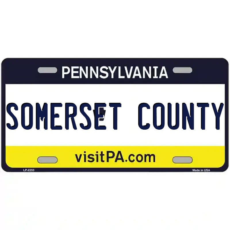 Pennsylvania Novelty State Blank Metal License Plate