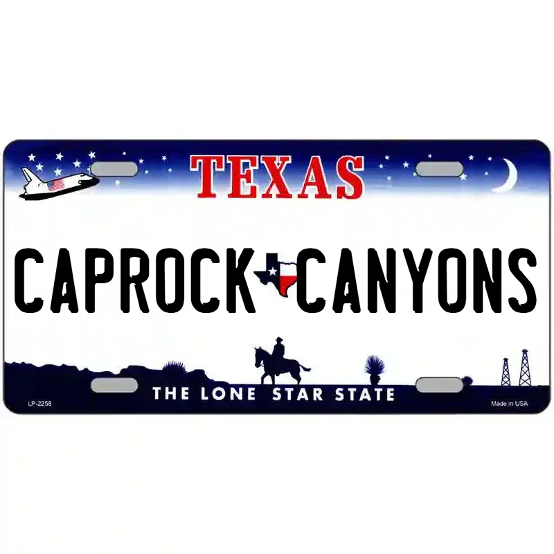 Texas Novelty State Blank Metal License Plate