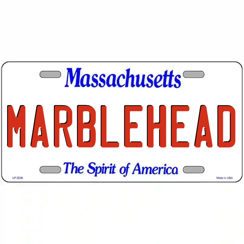 Massachusetts Novelty State Blank Metal License Plate