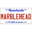 Massachusetts Novelty State Blank Metal License Plate