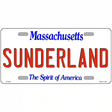 Massachusetts Novelty State Blank Metal License Plate