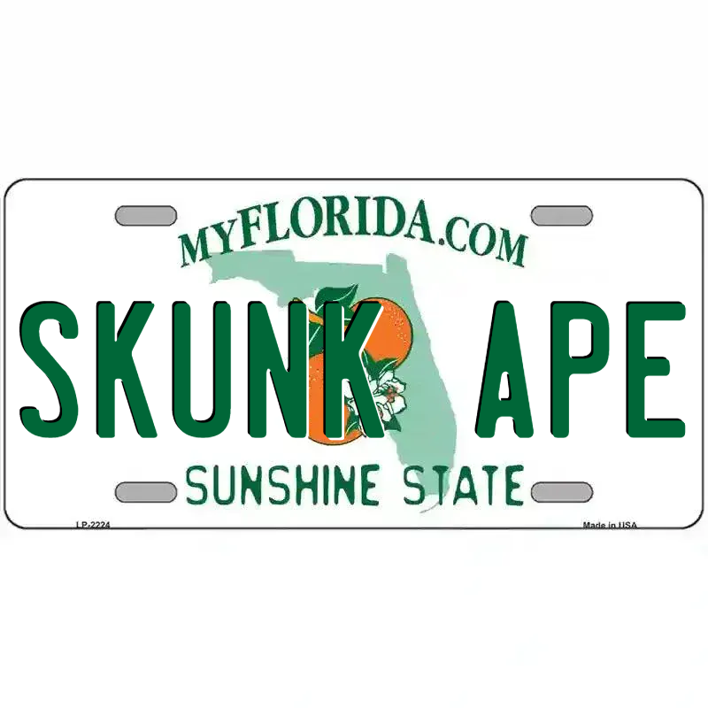 Florida State Blank Novelty Metal License Plate