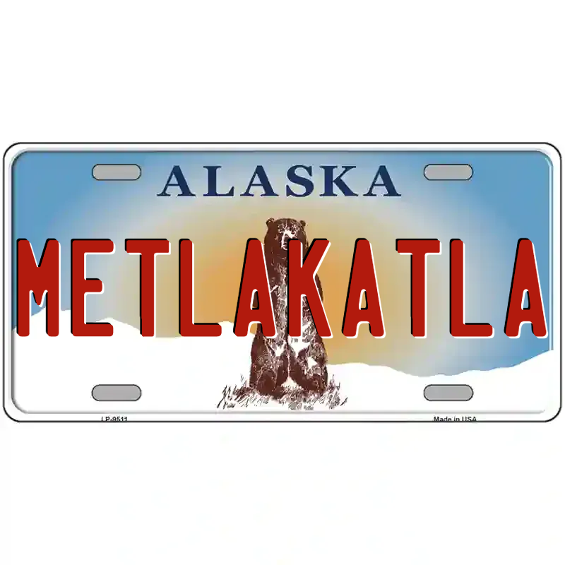 Alaska Bear Novelty Metal License Plate