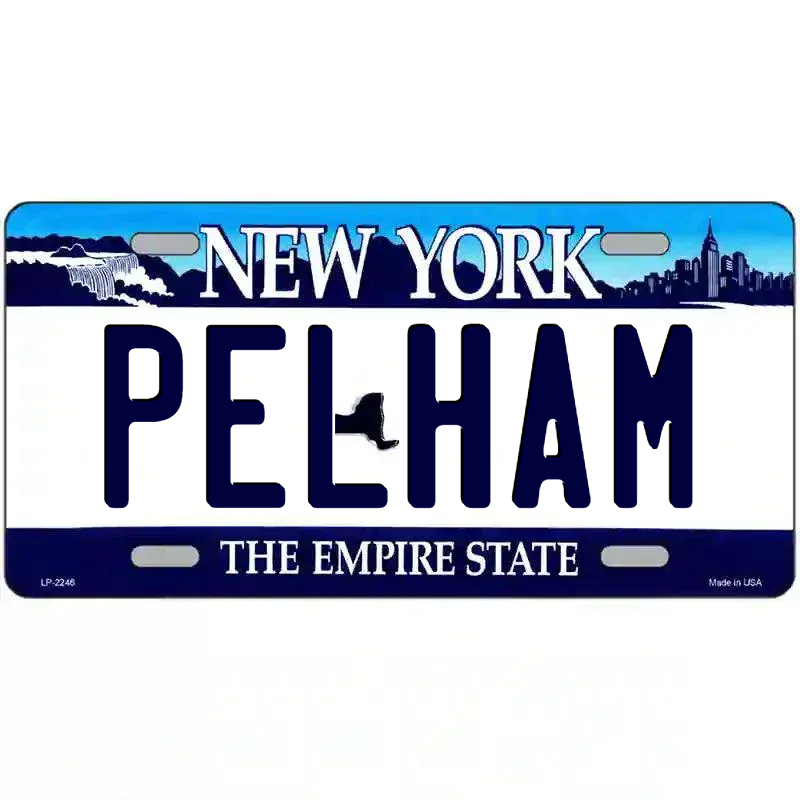 New York State Novelty State Blank Metal License Plate