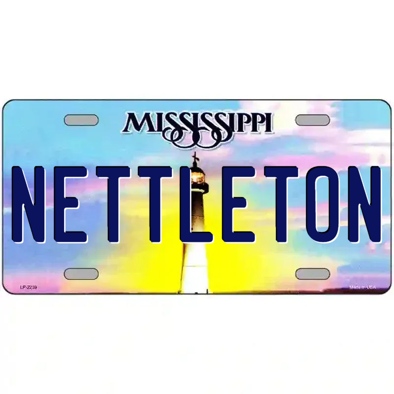 Mississippi Novelty State Blank Metal License Plate
