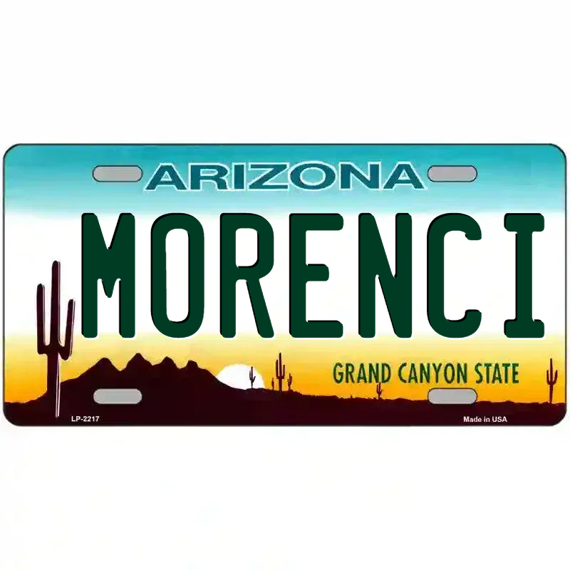 Arizona State Blank Novelty Metal License Plate