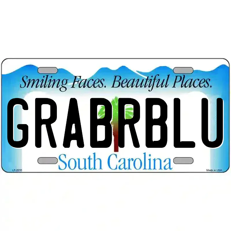 South Carolina Novelty State Blank Metal License Plate