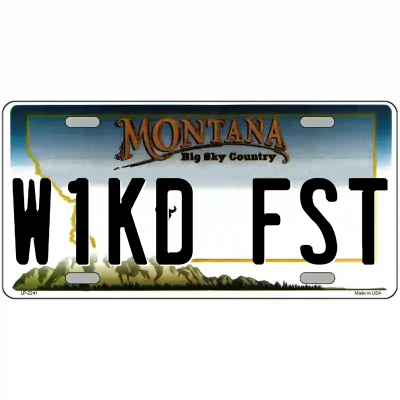 Montana Novelty State Blank Metal License Plate
