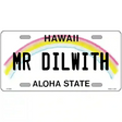 Hawaii Novelty State Blank Metal License Plate