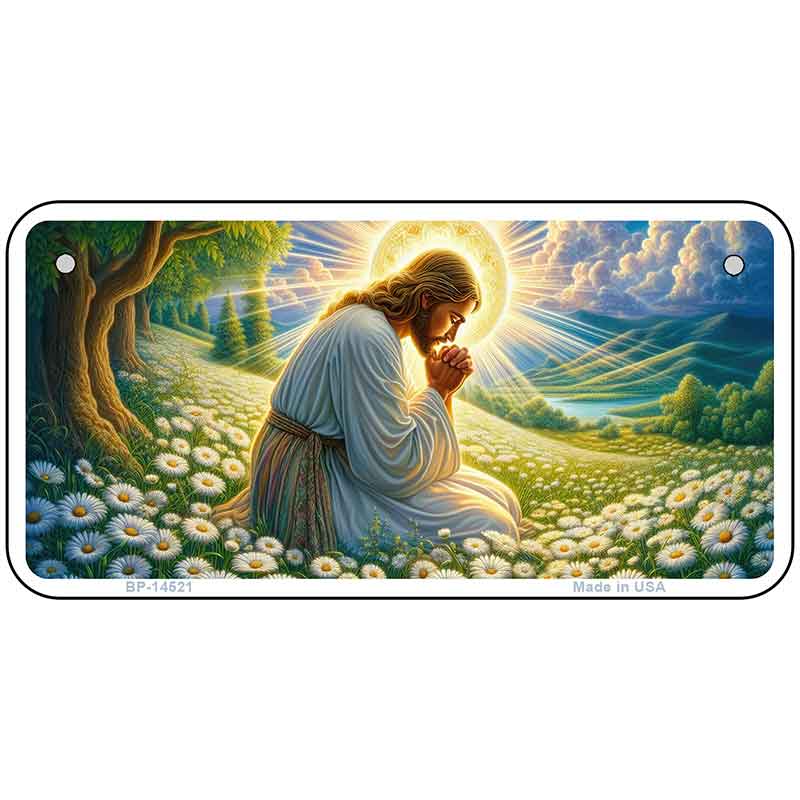 Jesus Praying Novelty Metal License Plate LP-14521