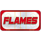 FLAMES Graphic Novelty Metal License Plate LP-14660 6" x 3" Bicycle (BP)