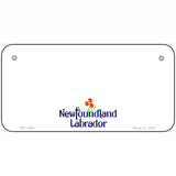 Newfoundland Novelty Metal License Plate 6" x 3" (BP)