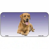 Yellow Labrador Retriever Dog Metal Novelty License Plate 6" x 3" (BP)