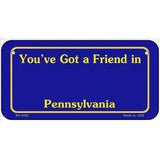 Pennsylvania Blue Blank Novelty Metal License Plate 6" x 3" (BP)