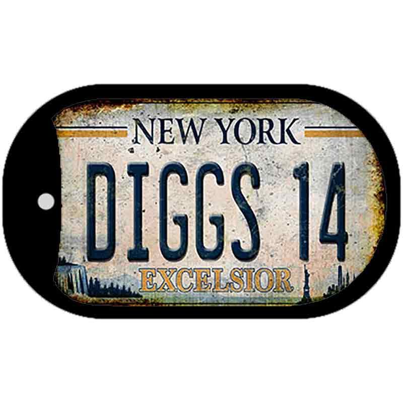 Diggs 14 Excelsior New York Rusty Novelty Metal Dog Tag Necklace 2" x 1" Dog Tag (DT)