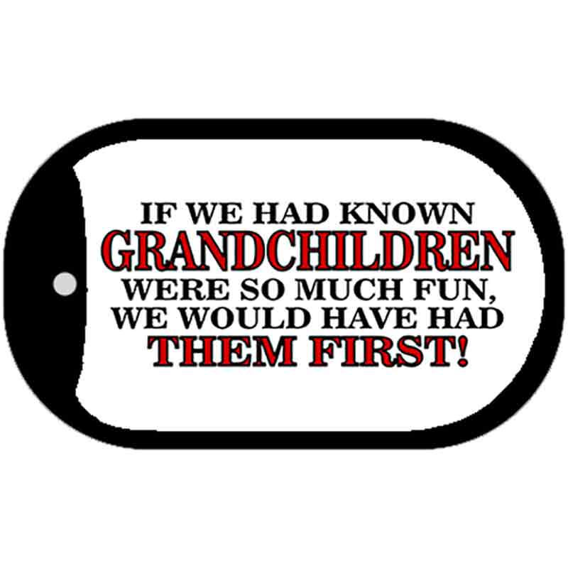 Grandchildren Novelty Metal Dog Tag Necklace DT-272 2" x 1" Dog Tag (DT)