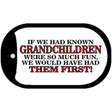 Grandchildren Novelty Metal Dog Tag Necklace DT-272 2" x 1" Dog Tag (DT)