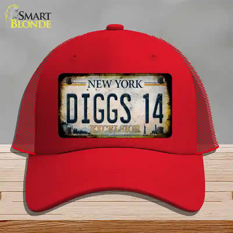 Diggs 14 Excelsior New York Rusty Novelty License Plate Hat Tag Mesh Red